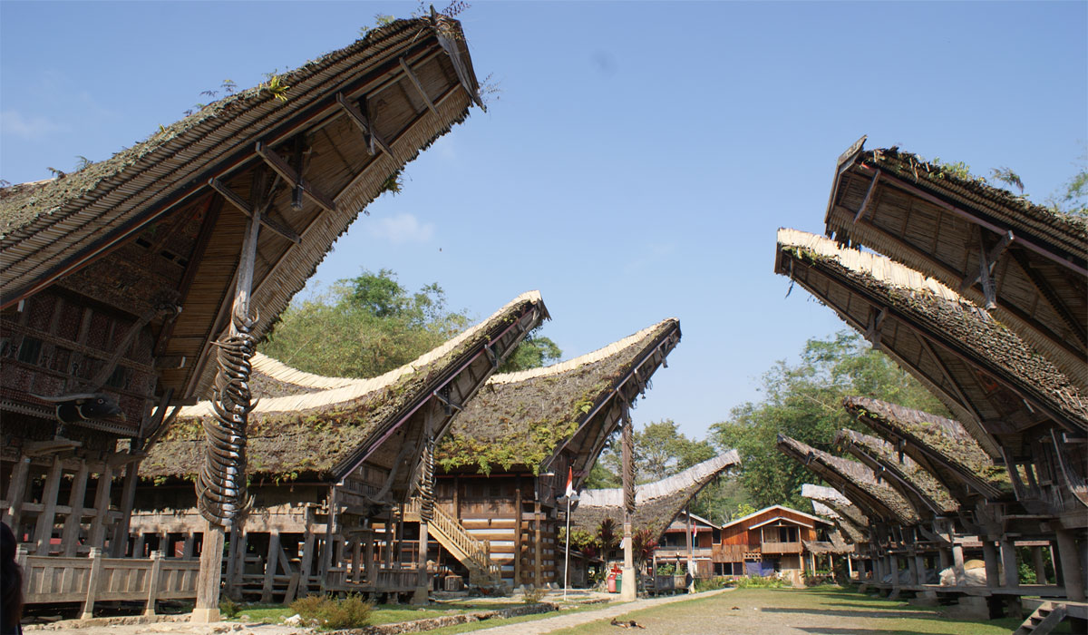 Bikin Kagum Dunia! Rumah Adat Tongkonan Toraja dengan Desain Unik dan Sejarah Panjang Bikin Kagum Dunia! Rumah Adat Tongkonan Toraja dengan Desain Unik dan Sejarah Panjang